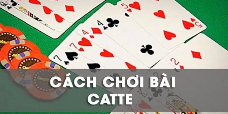 Bài Cát Tê - Những Bí Quyết và Chiến Lược Học Hiệu Quả Để Thành Công Cuối Cùng